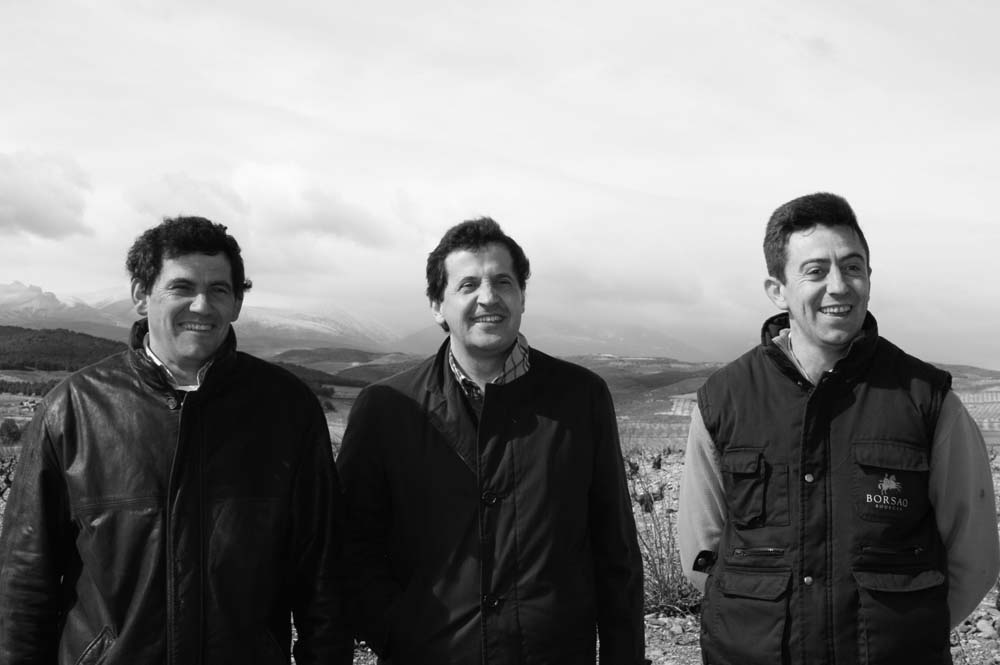 Bodegas Borsao